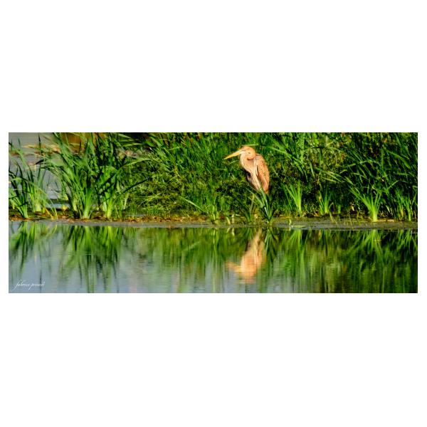 PHOTO84, CLUB, 84 , LUBERON